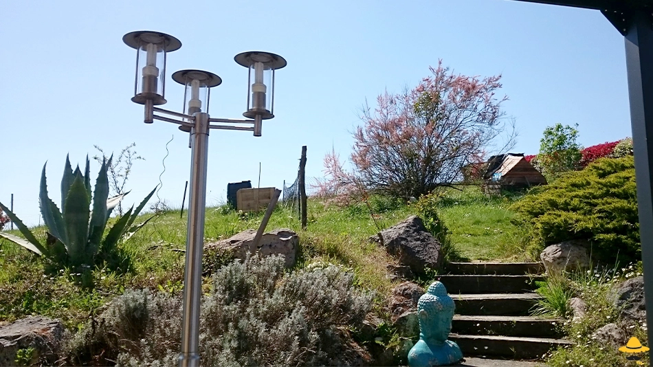 Blog de permaculture, potager bio, et jardinage durable