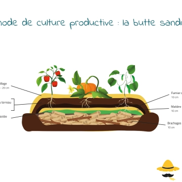 Méthode de culture : la butte sandwich