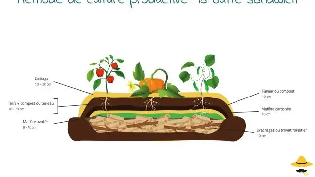 Méthode de culture : la butte sandwich